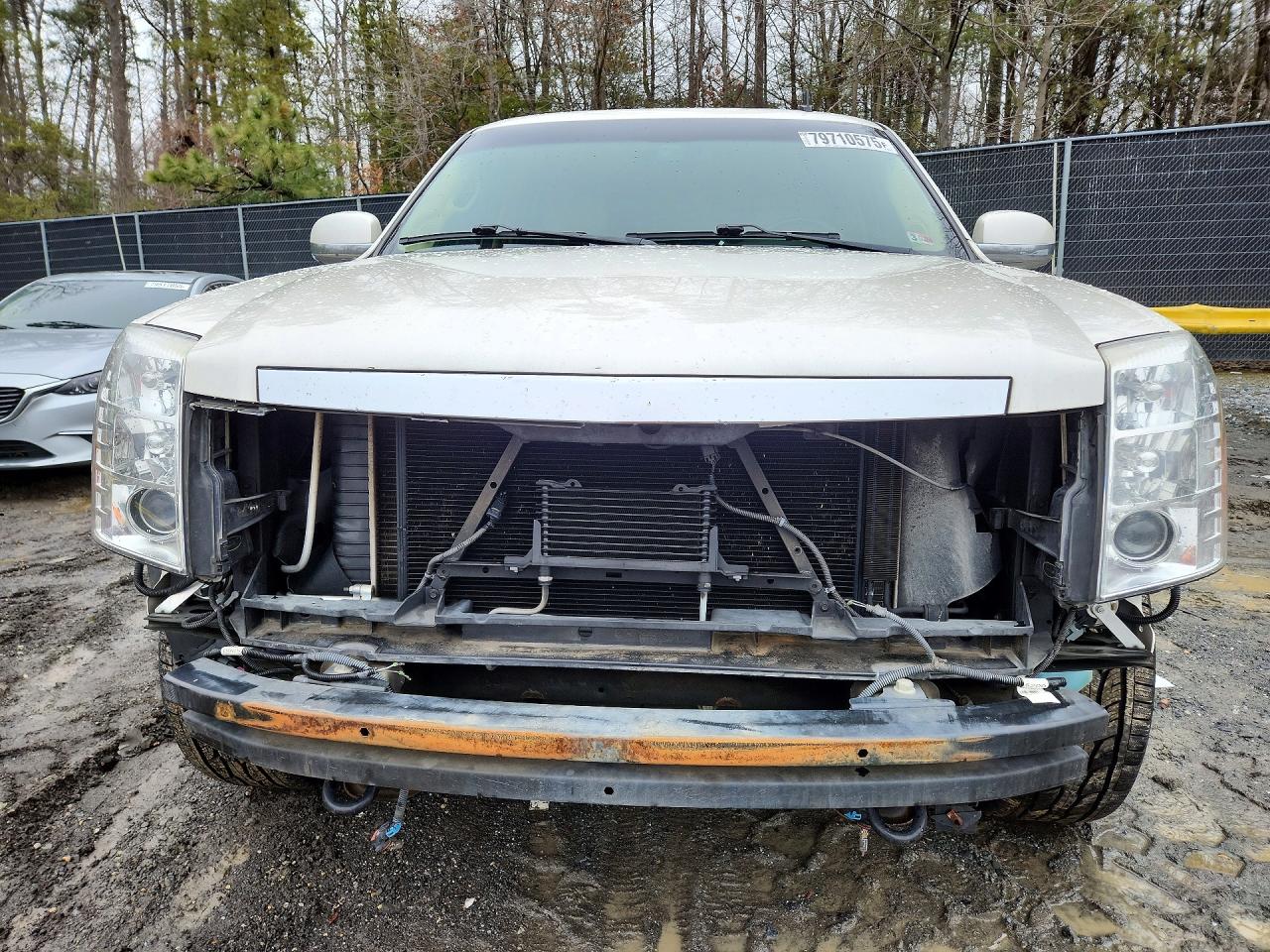 2011 Cadillac Escalade VIN 1GYS4BEF8BR156771 photo 5