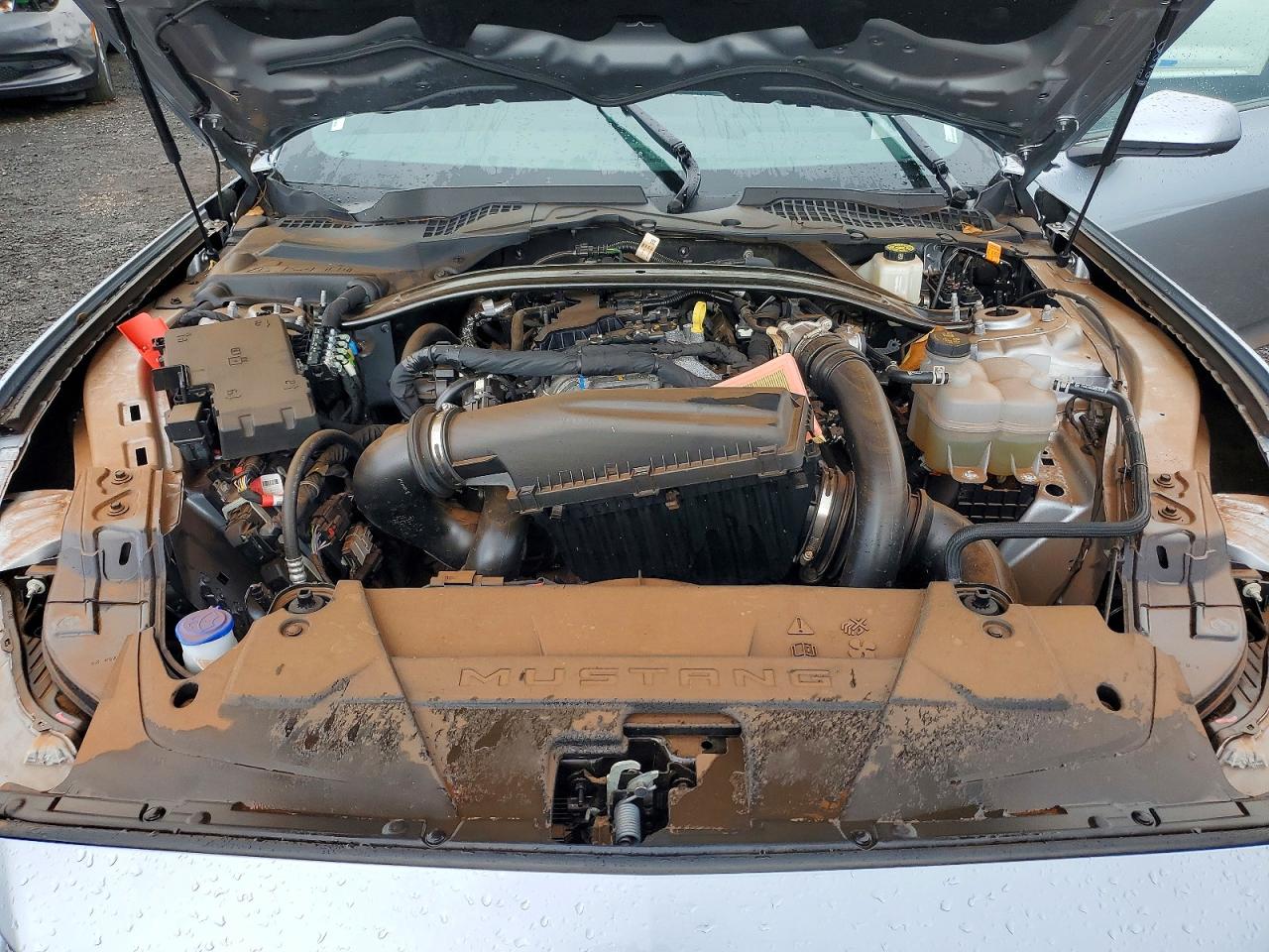 2026 FORD Mustang VIN 1FAGP8UH2T5103295 photo 11