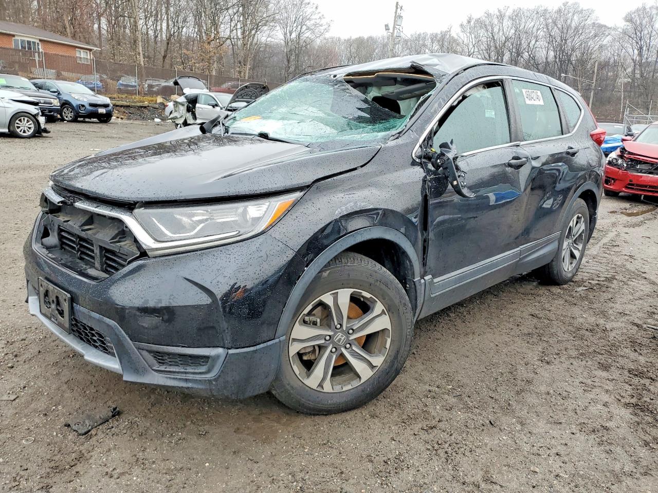 2019 Honda Crv VIN 2HKRW6H33KH204496 photo 1