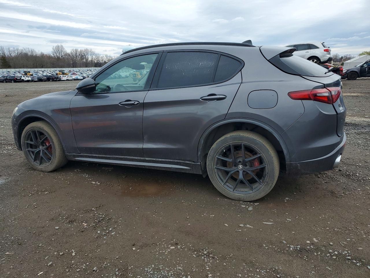 2021 Alfa Stelvio VIN ZASPAKBN0M7D09519 photo 2
