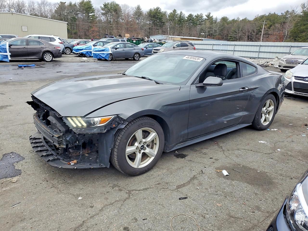 2017 Ford Mustang VIN 1FA6P8AM1H5229913 photo 1