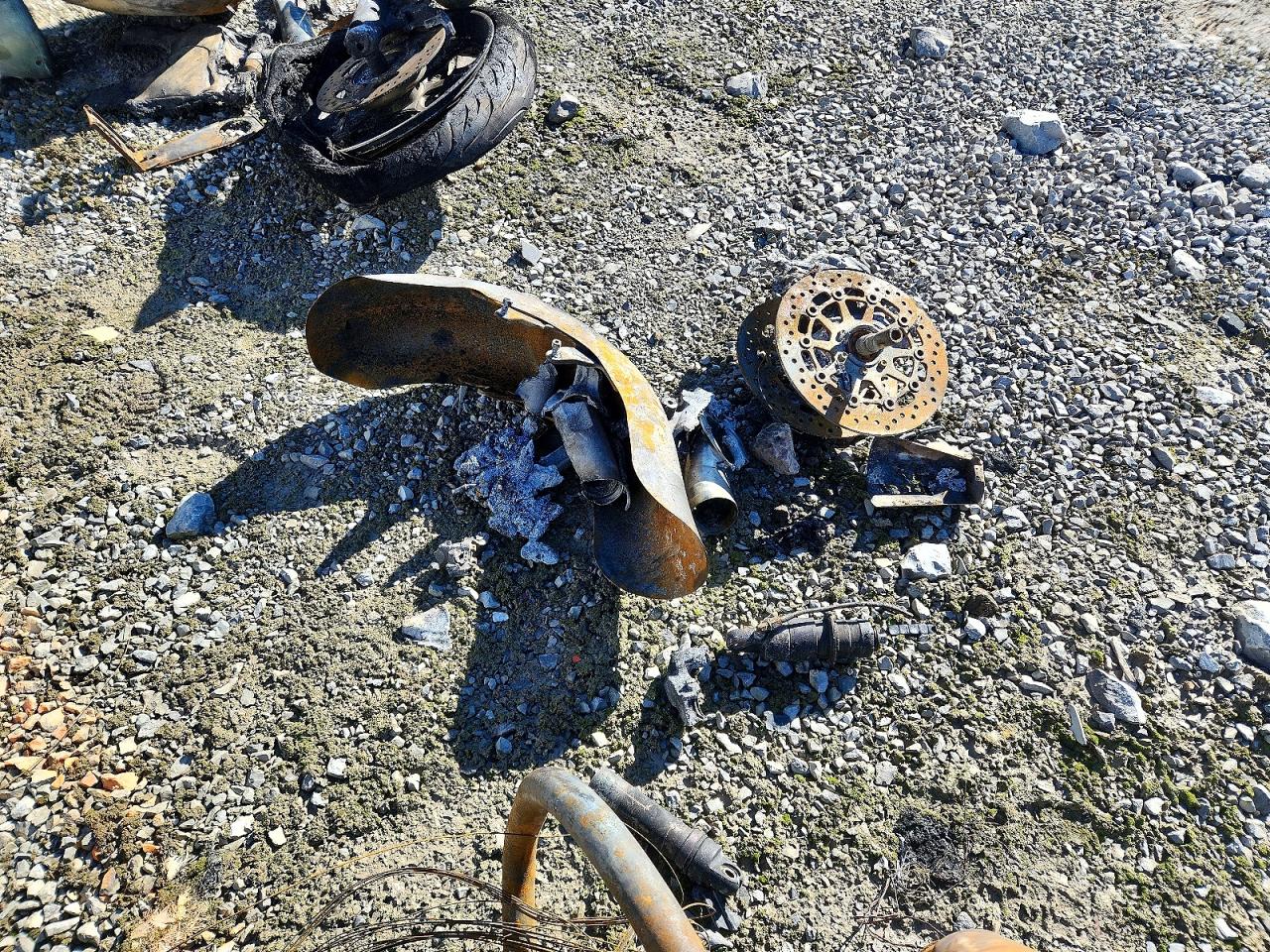 2019 INDIAN Motorcycle VIN 56KTCDAA0K3371805 photo 8