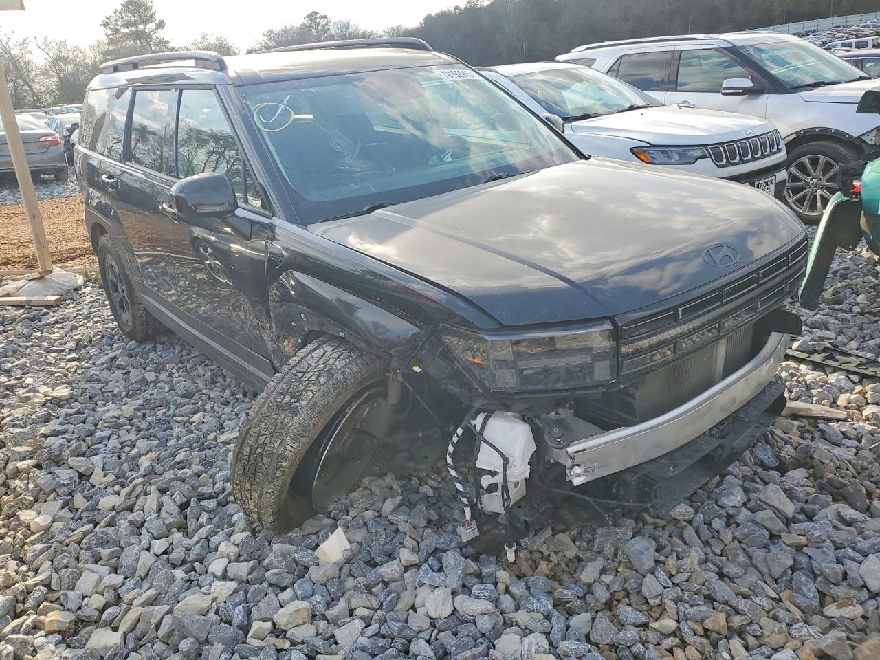 2025 Hyundai Santa fe VIN 5NMP3DGL6SH104492 photo 4