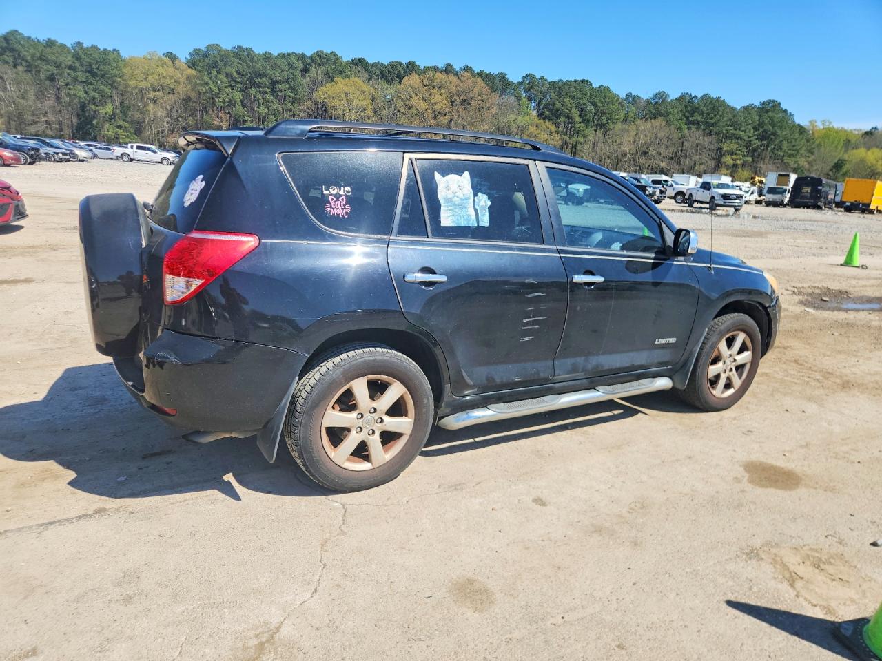 2008 Toyota Rav4 VIN JTMZD31V885101664 photo 3