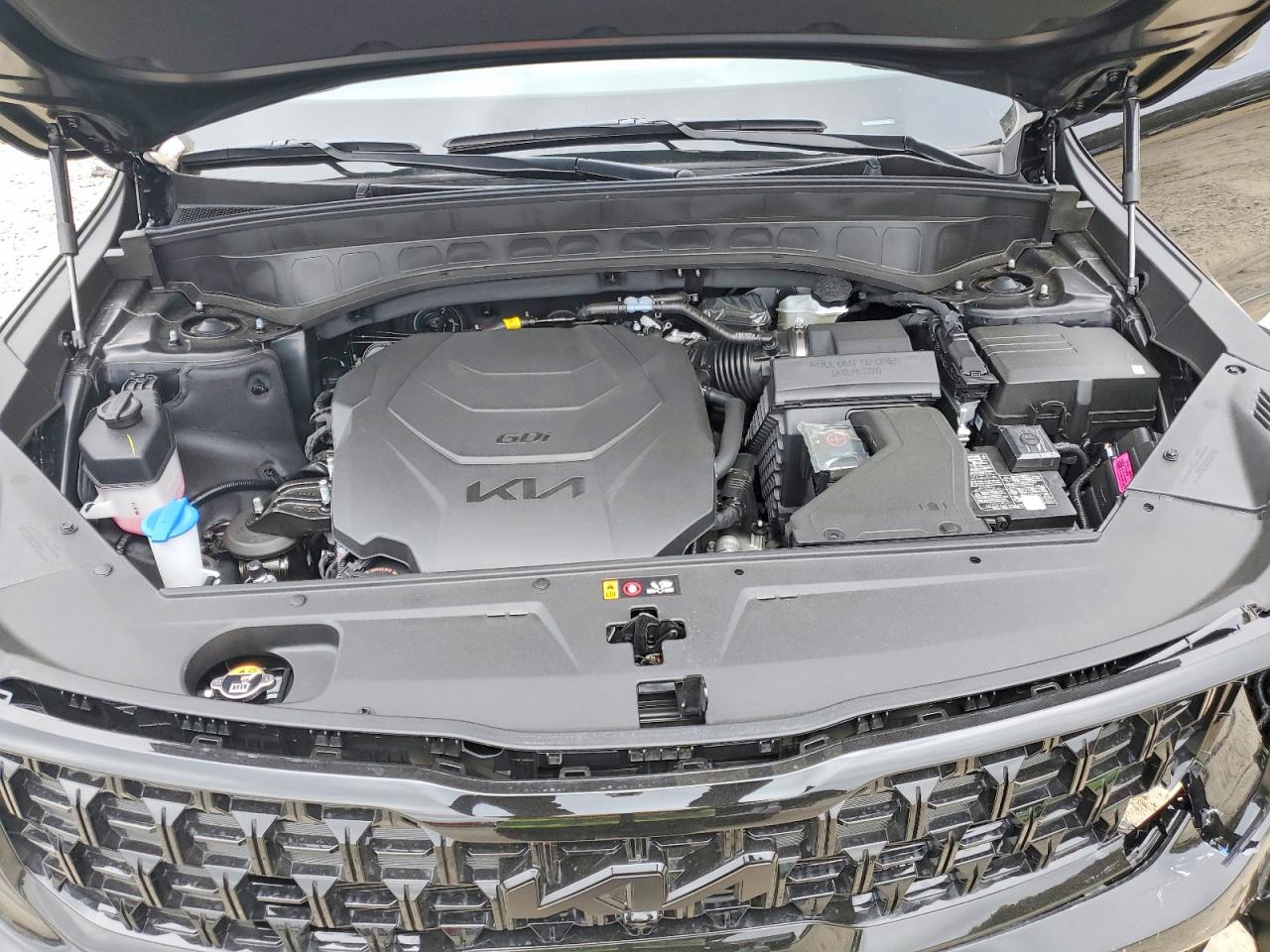 2025 Kia Telluride VIN 5XYP5DGC6SG719905 photo 12