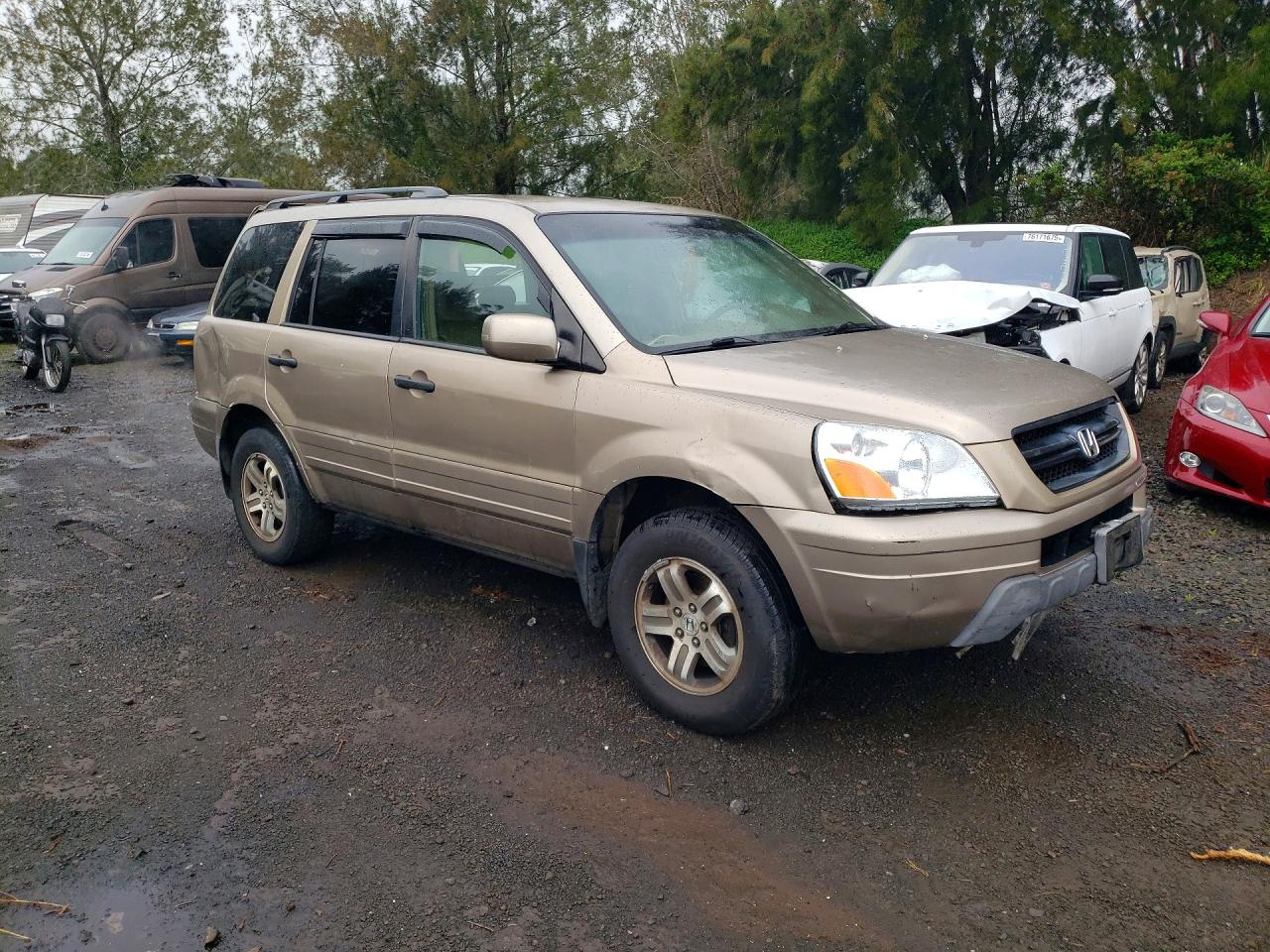 2004 Honda Pilot VIN 2HKYF18504H508548 photo 4