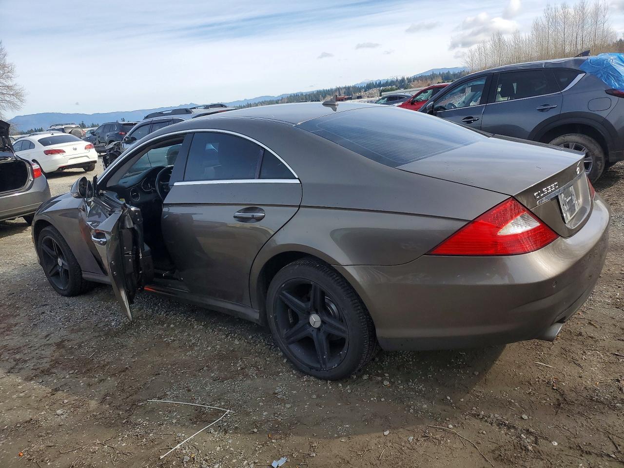 2008 Mercedes-Benz Cls-class VIN WDDDJ72X38A132120 photo 2