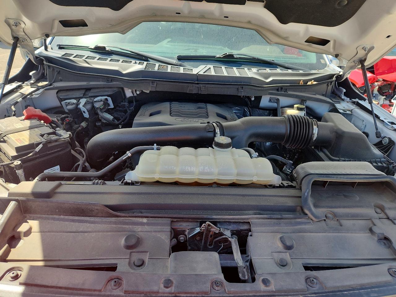 2021 Ford F150 VIN 1FTFW1E81MFC05603 photo 11