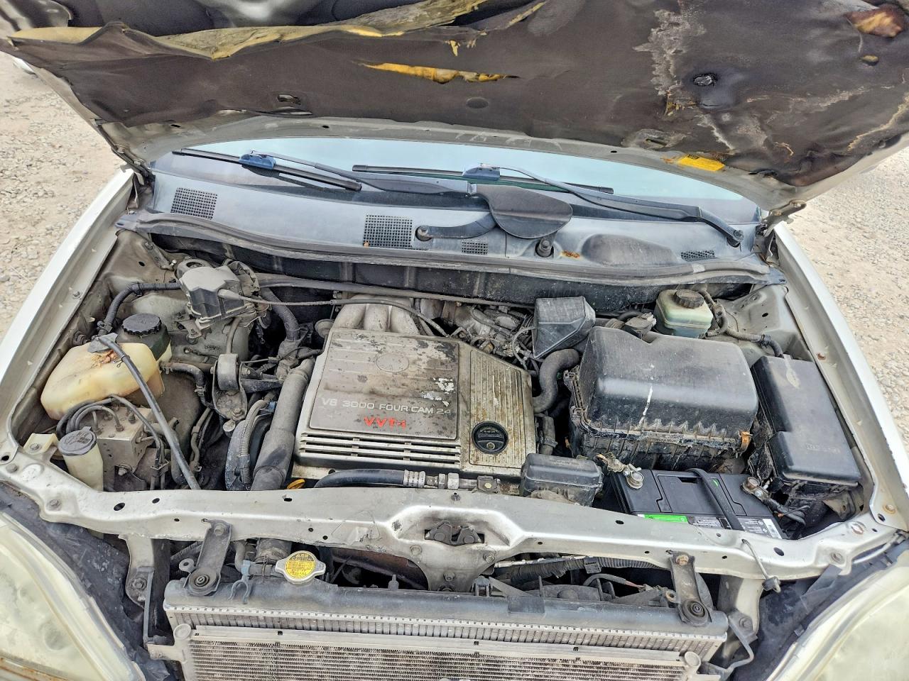 2002 Lexus Rx350 VIN JTJHF10U820285993 photo 11