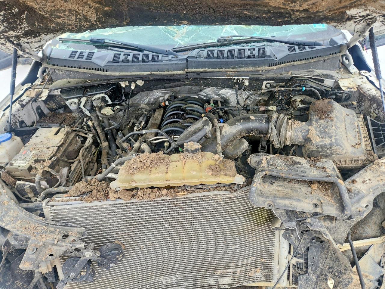 2019 Ford F150 VIN 1FTEW1E52KKD21981 photo 11
