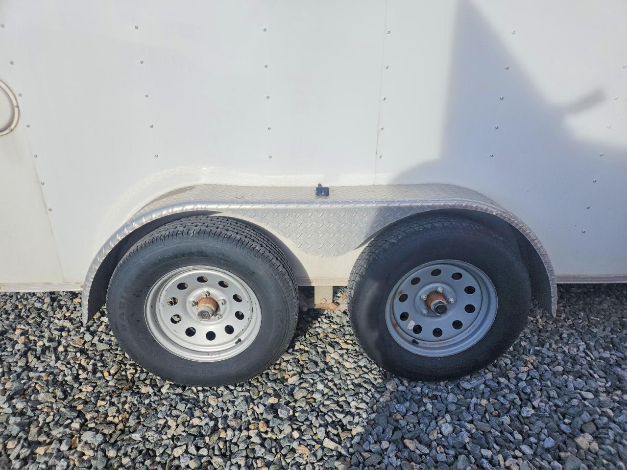 2019 LGS Cargo expr VIN 53BPTEA28KA048377 photo 8