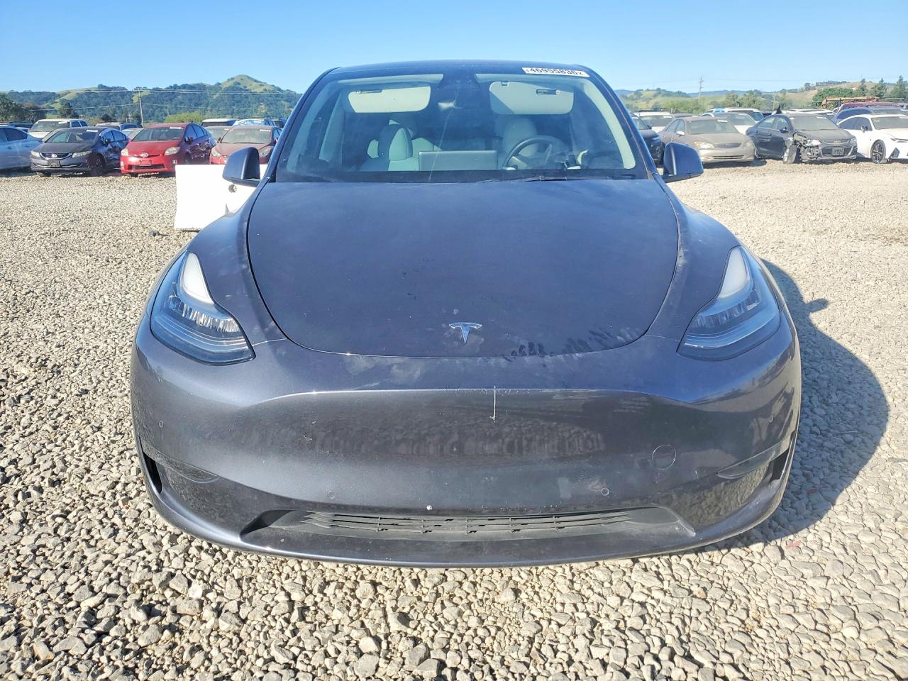 2022 TESLA Model y VIN 7SAYGDEE1NF319624 photo 5