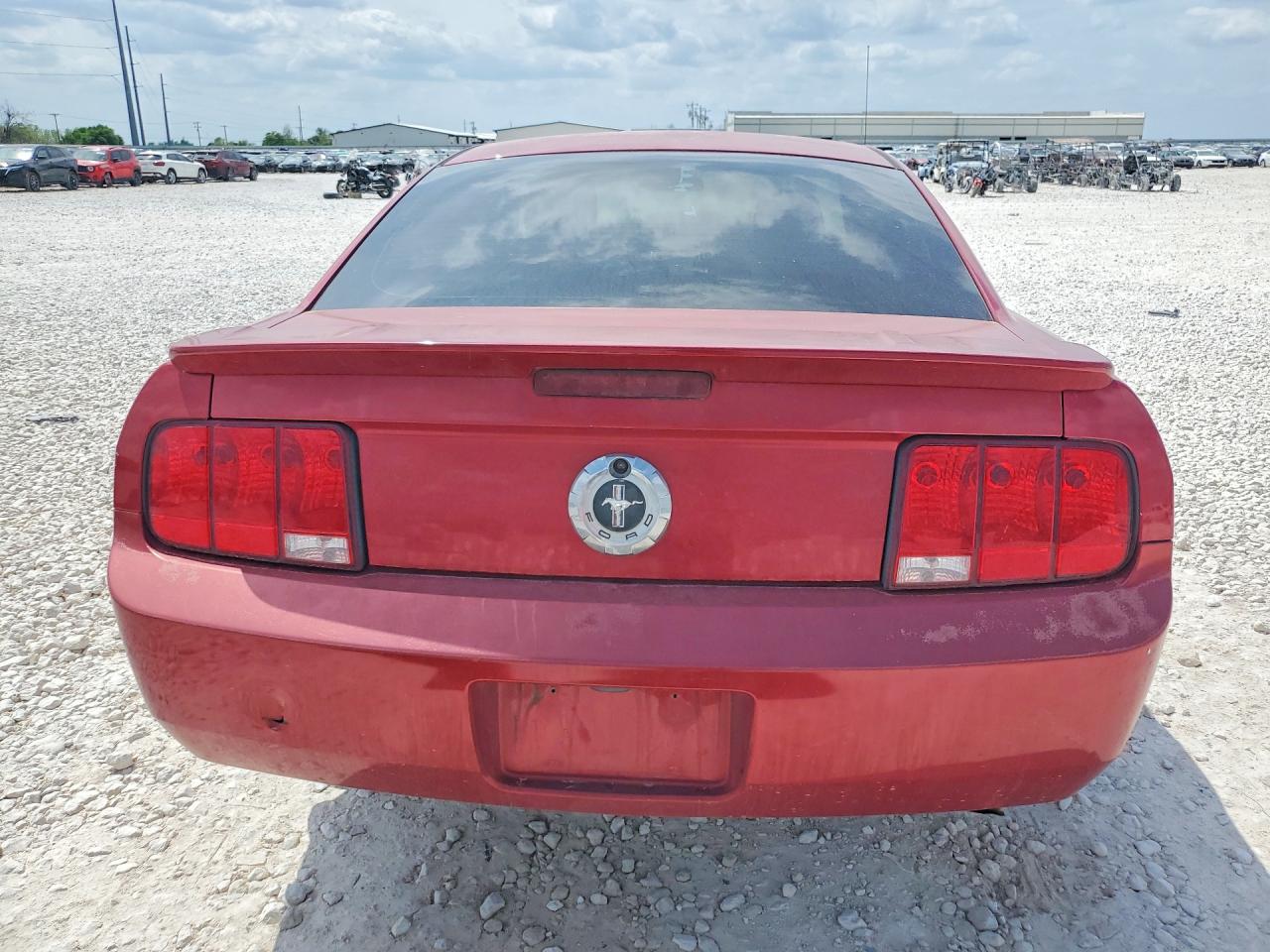2008 Ford Mustang VIN 1ZVHT80N585131666 photo 6