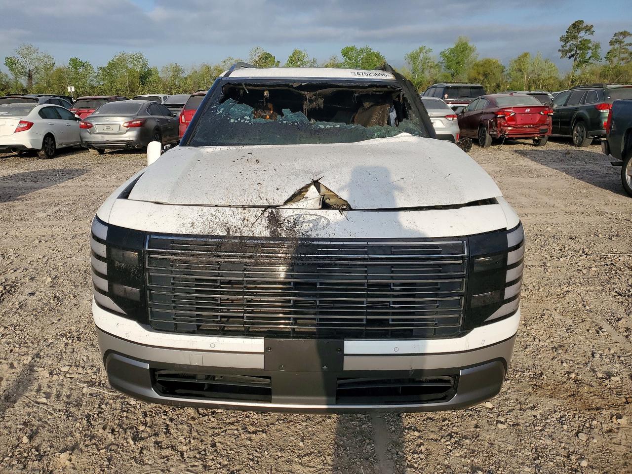 2026 Hyundai Palisade VIN KM8RGES2XTU036527 photo 5