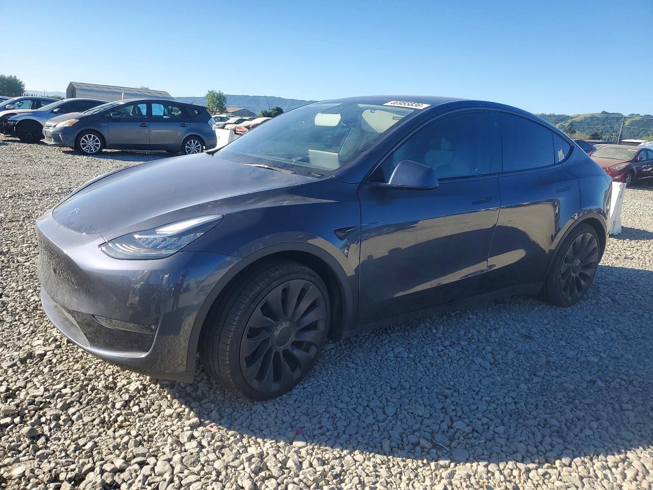 2022 TESLA Model y VIN 7SAYGDEE1NF319624 photo 1