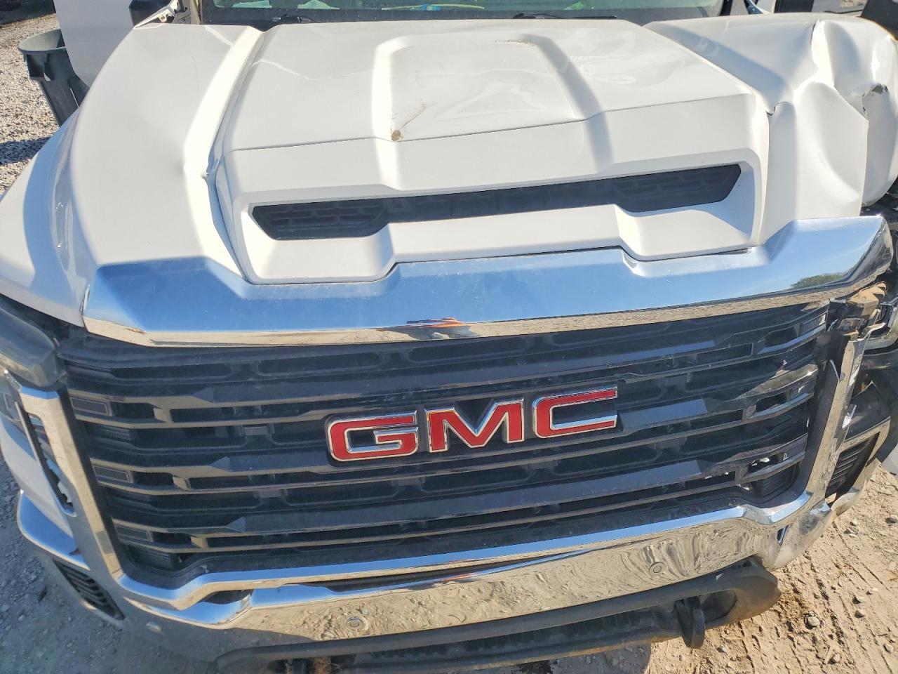2020 GMC SIERRA VIN 1GT19LEYXLF186206 photo 11
