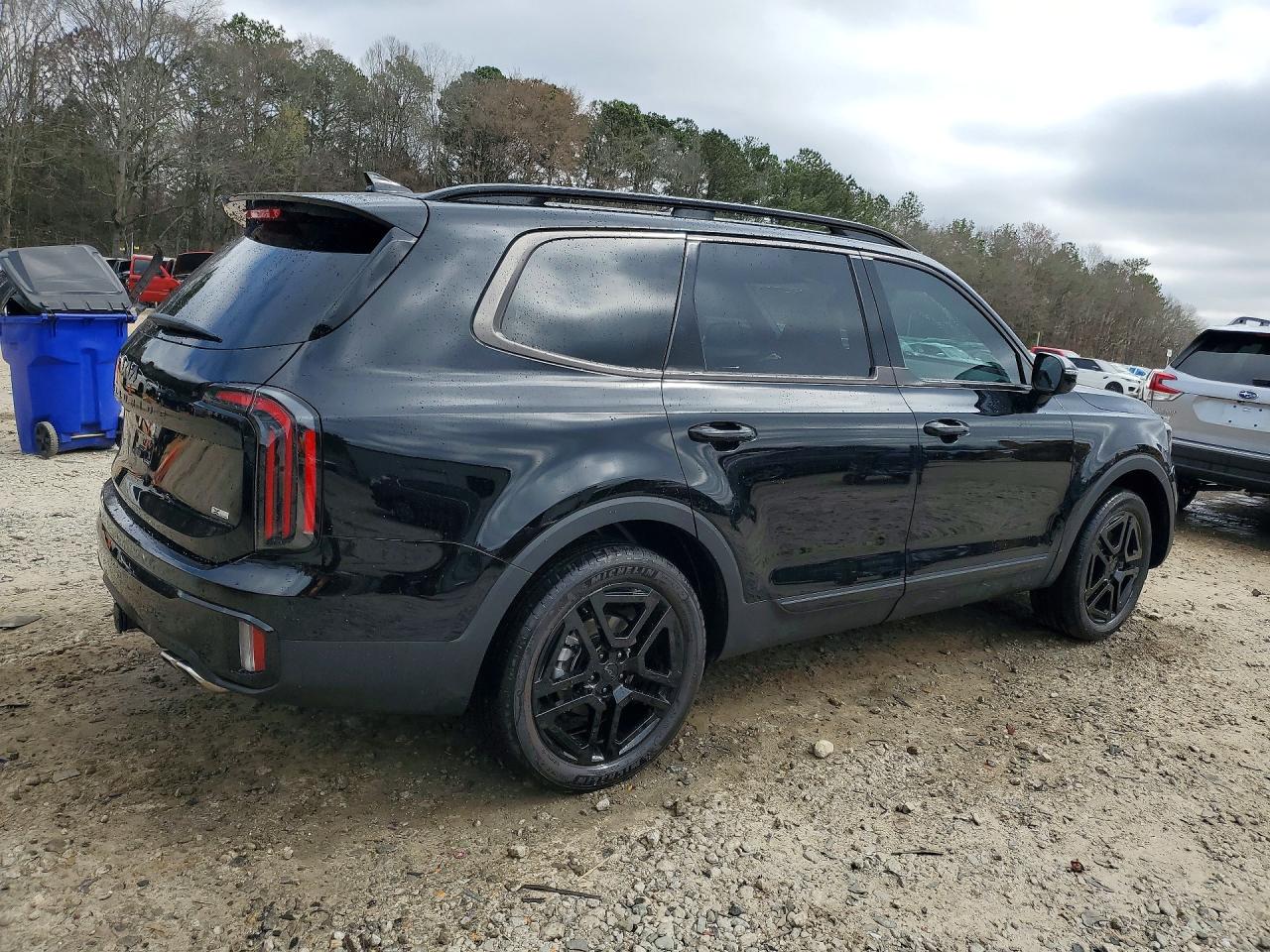 2025 Kia Telluride VIN 5XYP5DGC6SG719905 photo 3