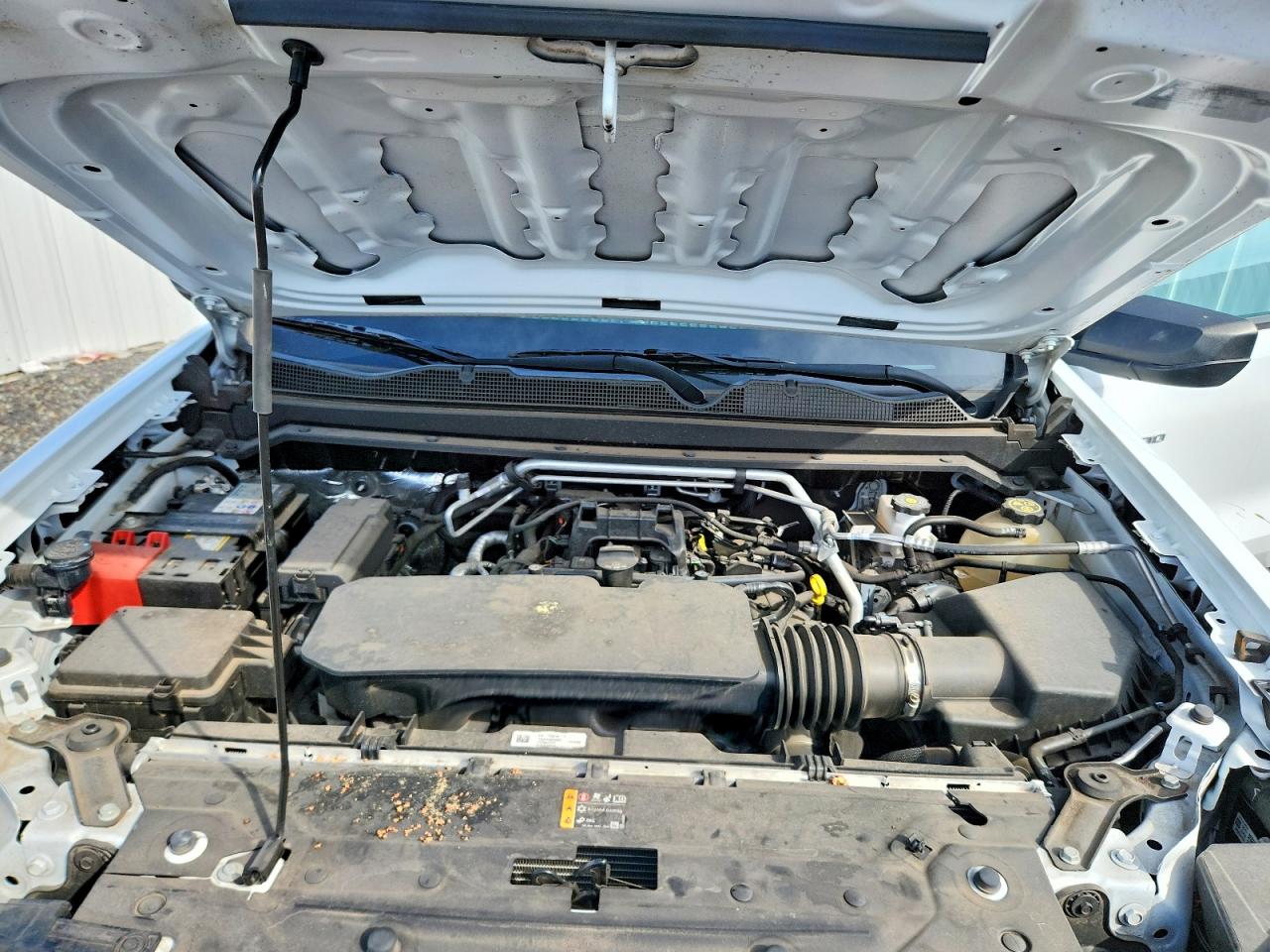 2023 CHEV Colorado VIN 1GCGSBEC4P1266035 photo 11