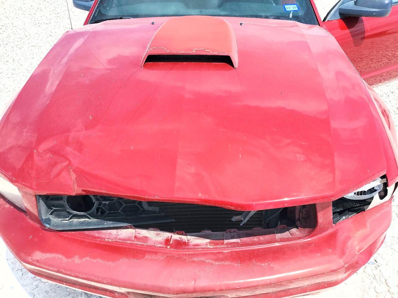 2008 Ford Mustang VIN 1ZVHT80N585131666 photo 11