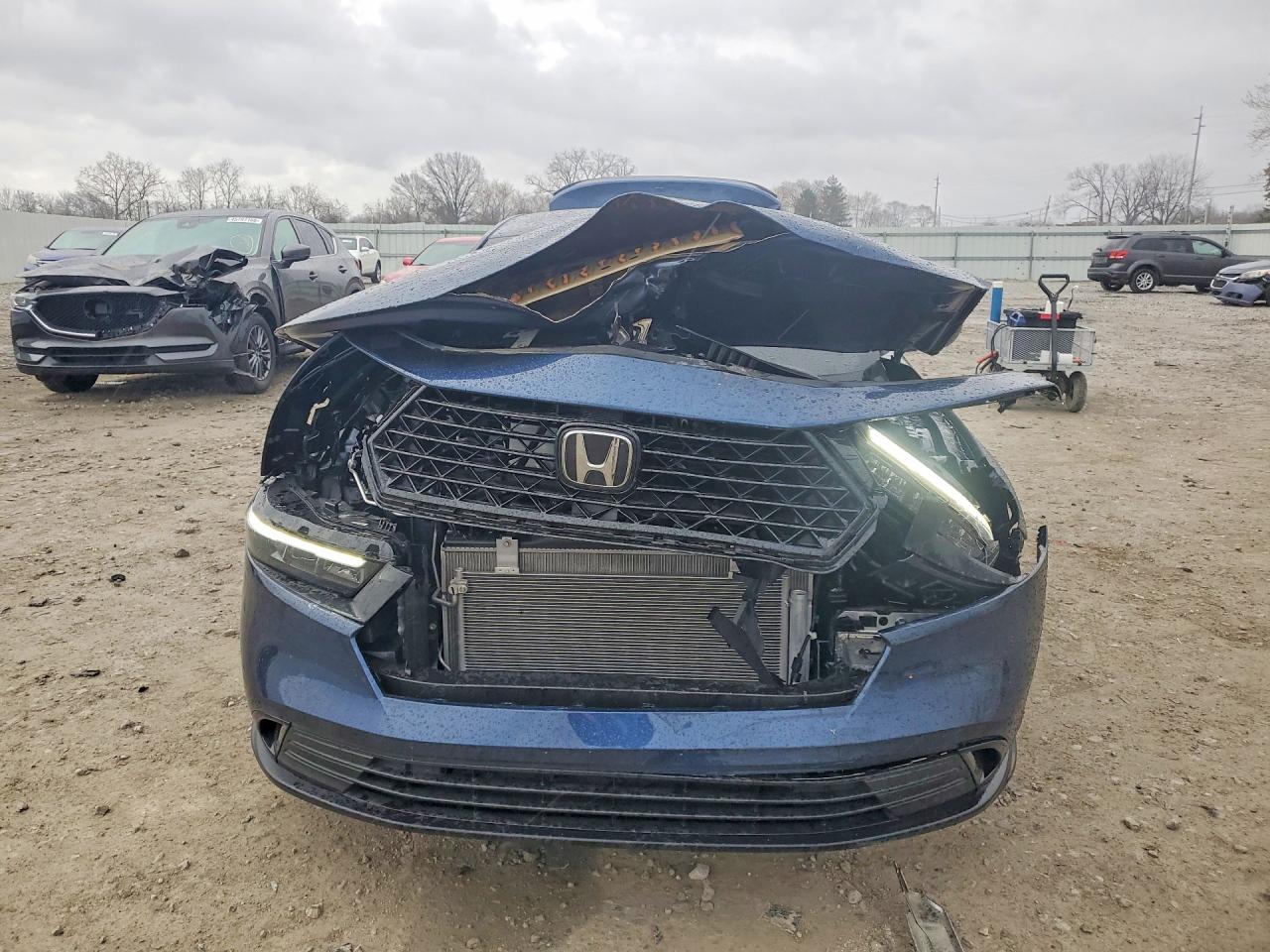 2025 Honda Accord VIN 1HGCY1F48SA021232 photo 5