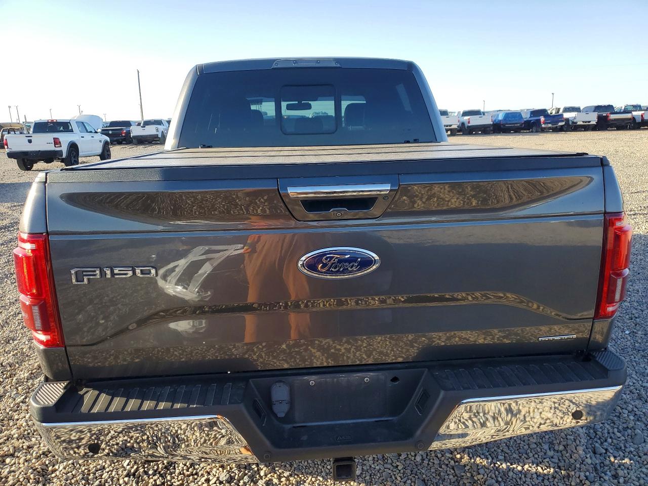 2015 Ford F150 VIN 1FTEW1EF1FKE03487 photo 6