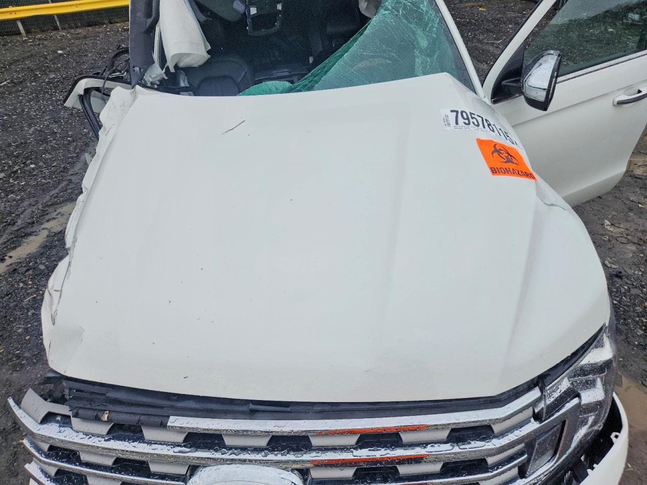 2021 Ford Expedition VIN 1FMJK2AT0MEA60352 photo 12