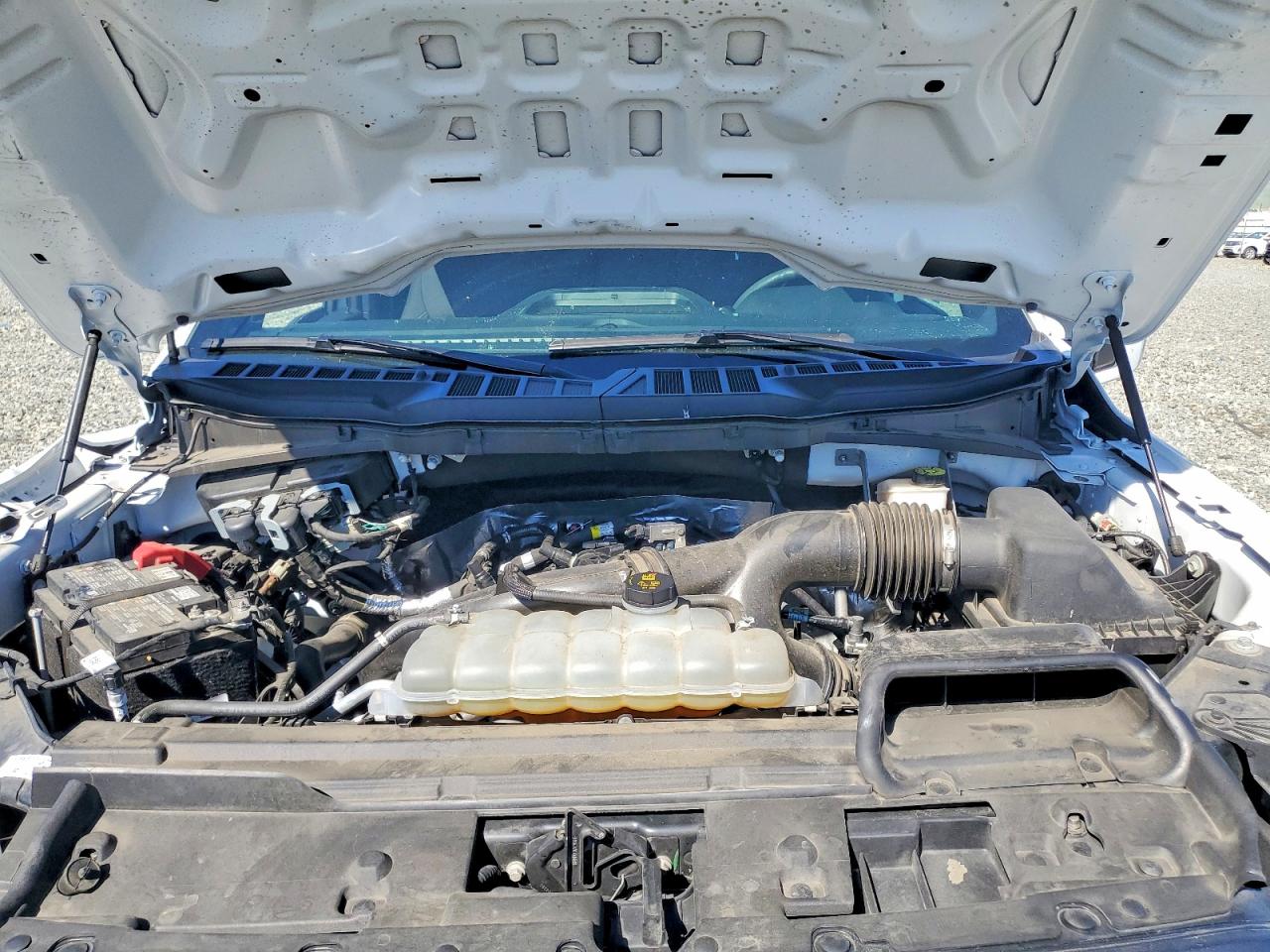 2024 Ford F150 VIN 1FTEW2KP3RKF18972 photo 11
