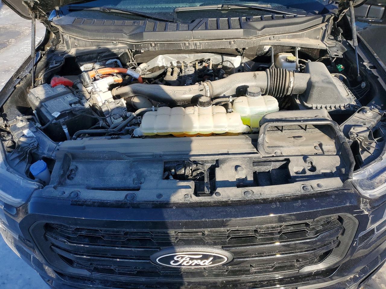 2025 Ford F150 laria VIN 1FTFW5LD9SFA53073 photo 11