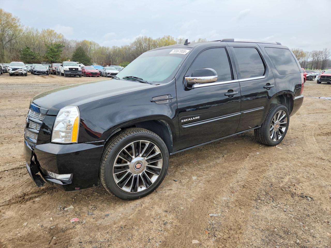 2013 Cadillac Escalade VIN 1GYS4CEF0DR211819 photo 1
