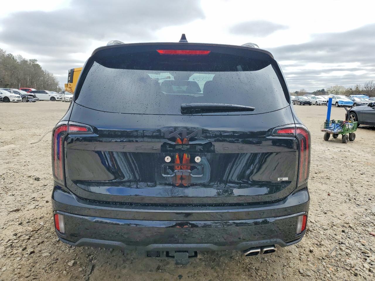 2025 Kia Telluride VIN 5XYP5DGC6SG719905 photo 6
