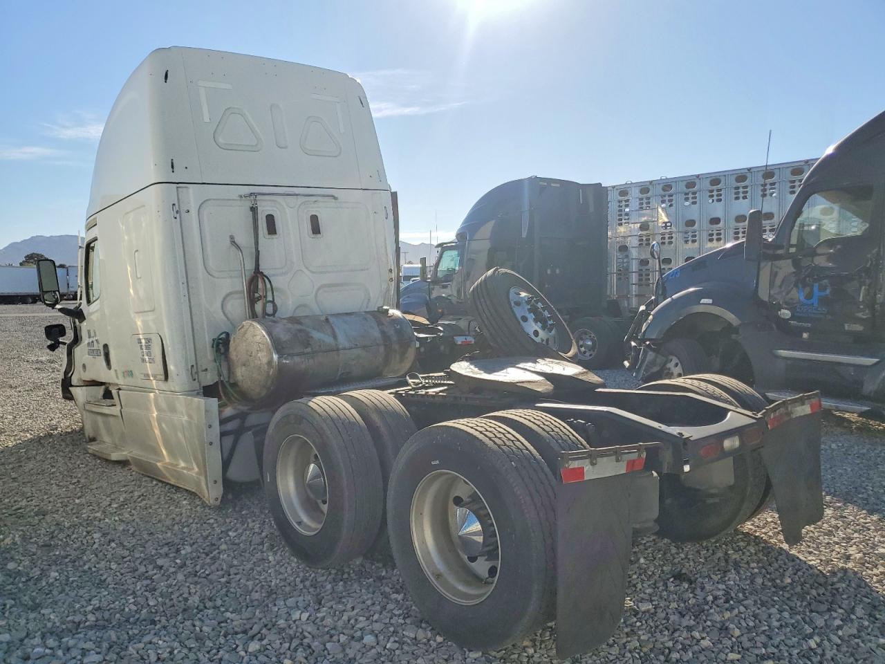 2022 FREIGHTLINER All other VIN 3AKJHHDR1NSNB2319 photo 3