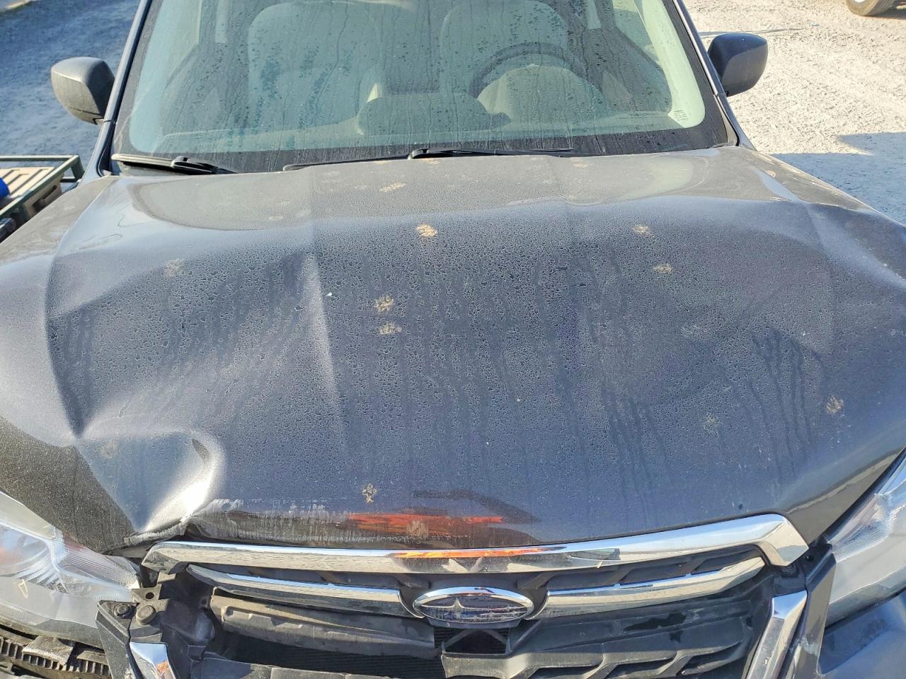 2017 SUBARU Forester VIN JF2SJABC2HH591028 photo 12