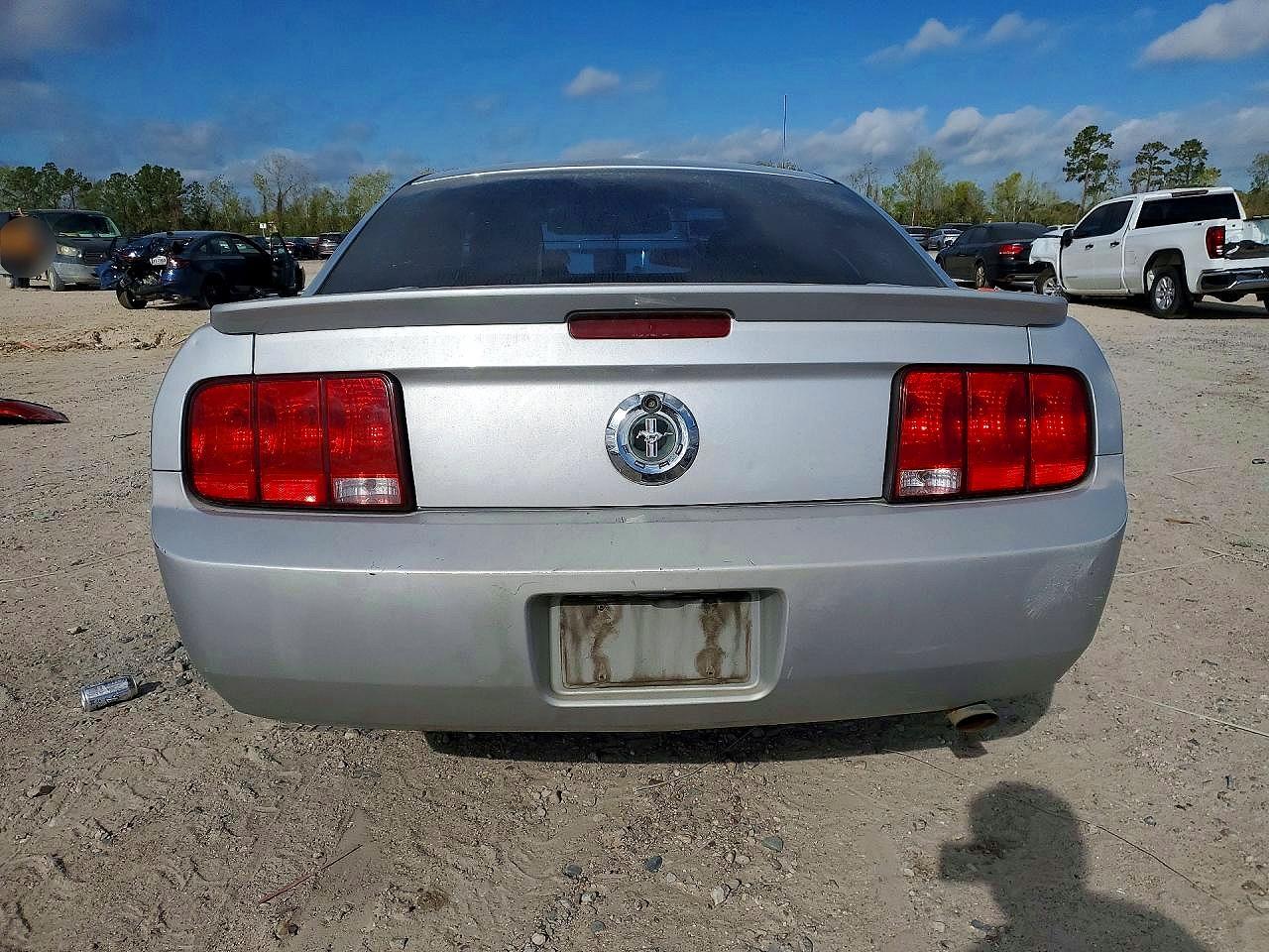 2008 FORD Mustang VIN 1ZVHT80N685202728 photo 6