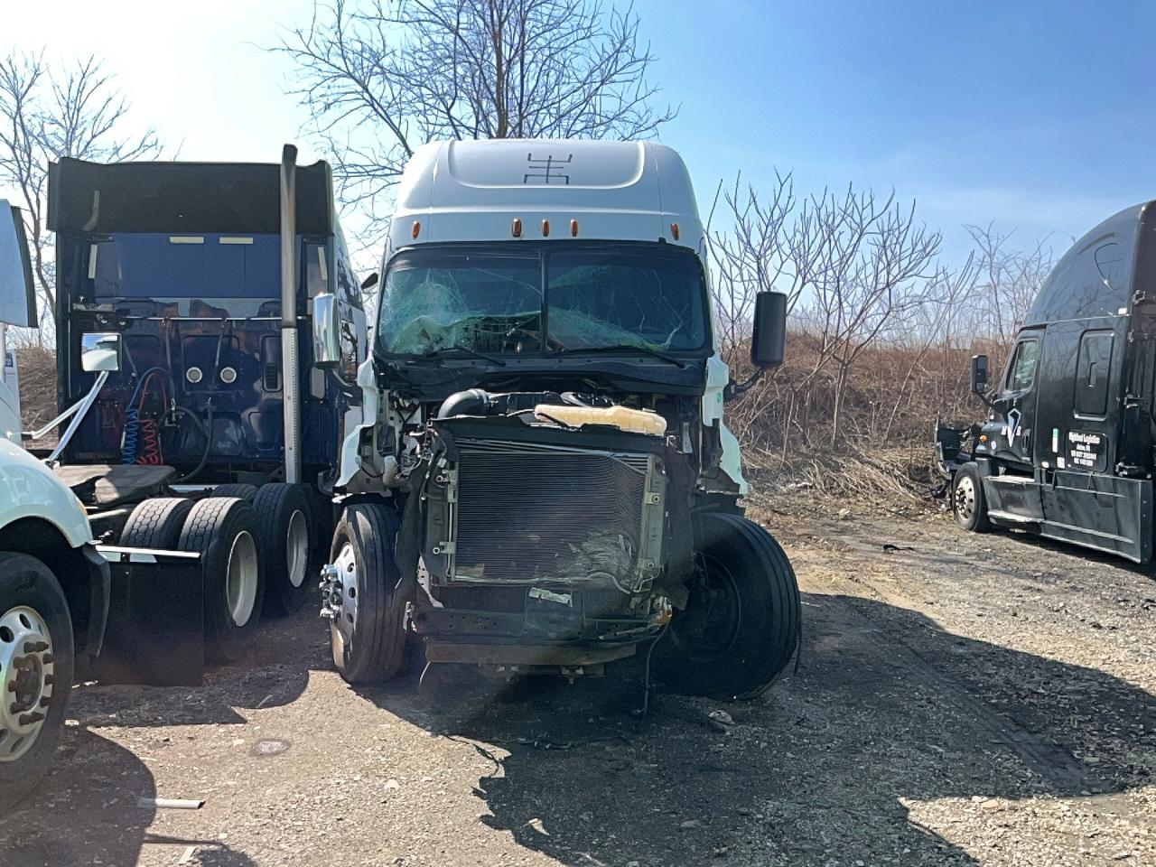 2015 FREIGHTLINER Cascadia VIN 3AKJGLD56FSFX3953 photo 6