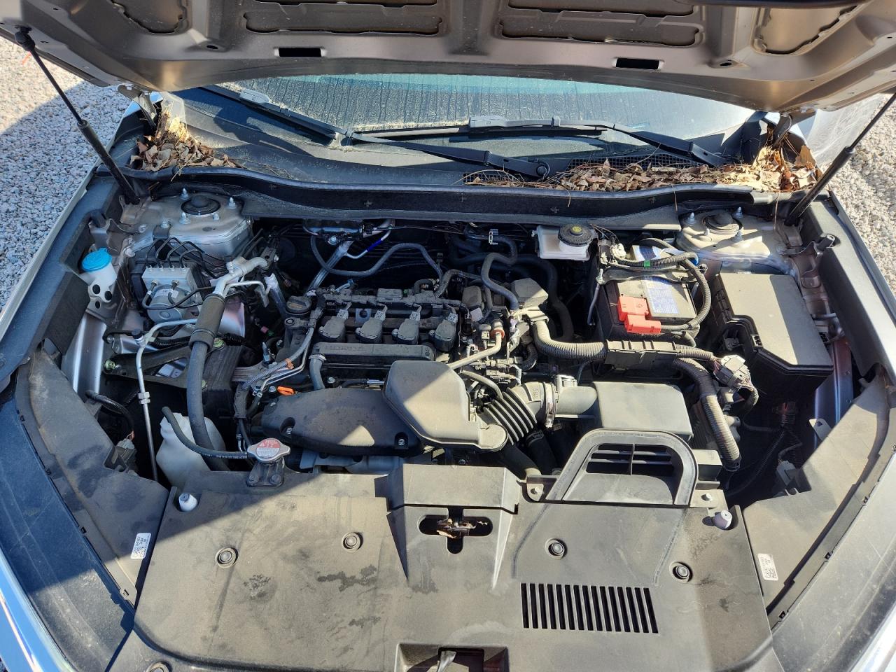 2024 HONDA Crv VIN 2HKRS4H49RH413275 photo 12