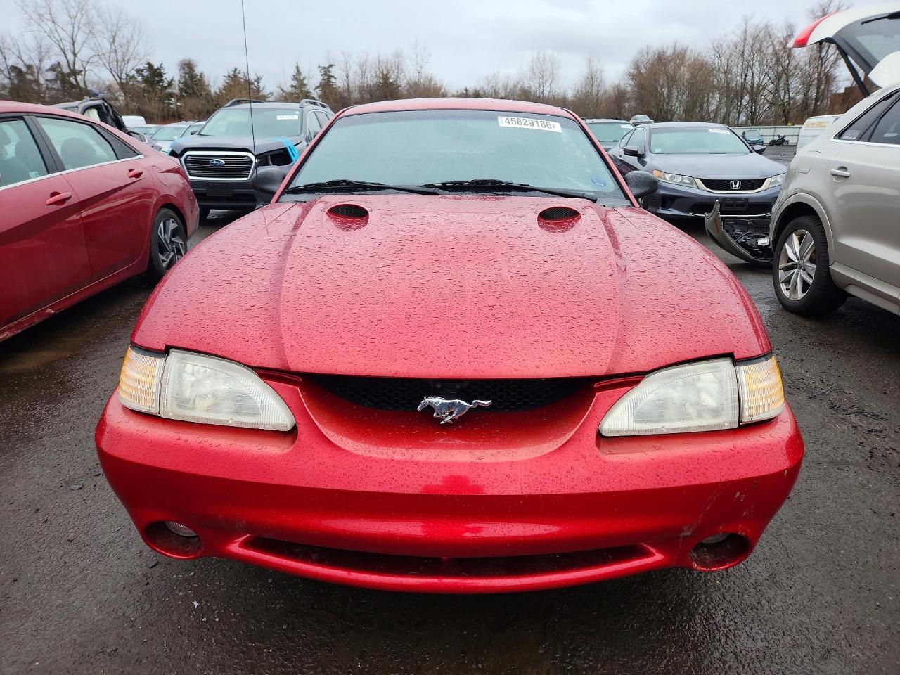 1996 Ford Mustang VIN 1FALP47V7TF137204 photo 5