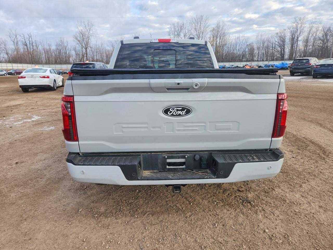 2024 Ford F150 VIN 1FTEW3LP0RKD60918 photo 6