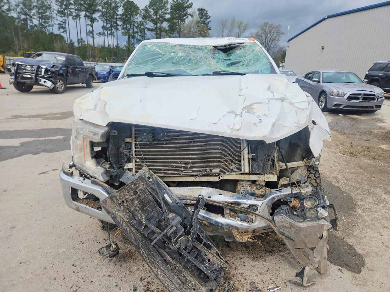 2019 Ford F150 VIN 1FTEW1E52KKD21981 photo 5