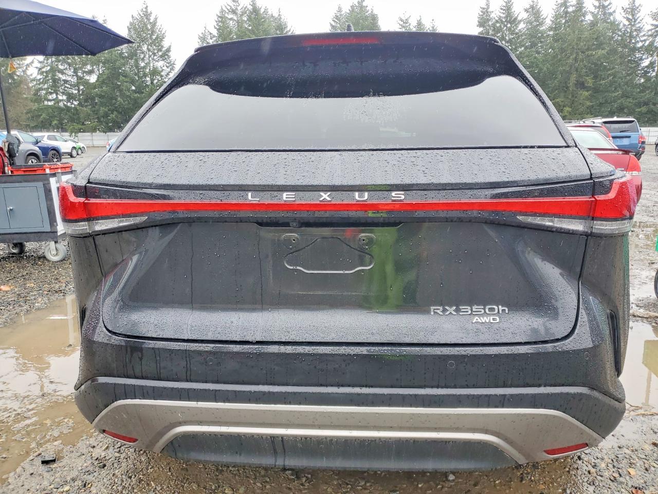 2024 Lexus Rx 350H Premium+ VIN 2T2BBMCA4RC024623 photo 6