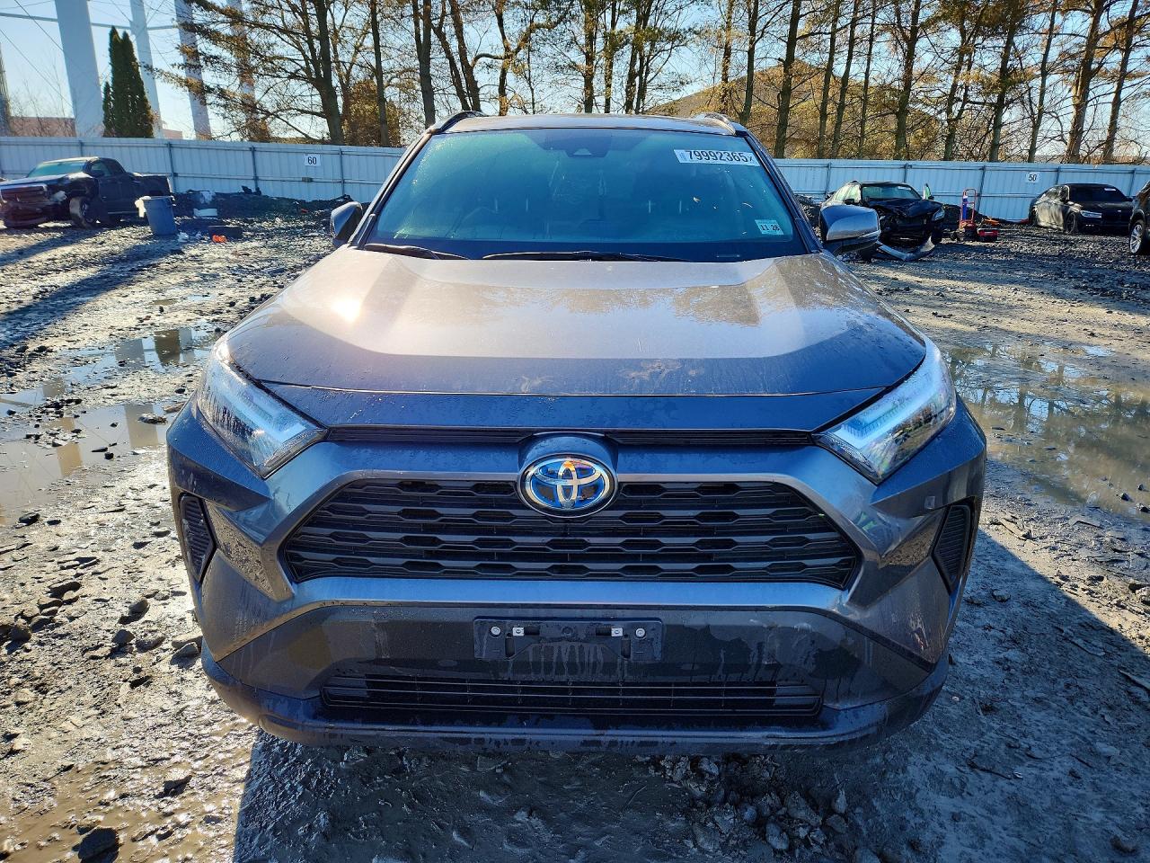 2024 Toyota Rav4 VIN 4T3RWRFV1RU116412 photo 5