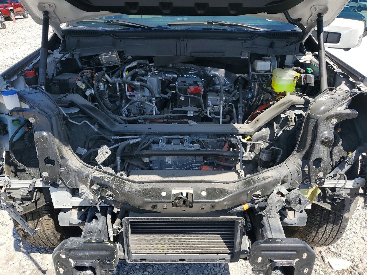 2024 Ford F150 VIN 1FT6W7L71RWG29707 photo 11