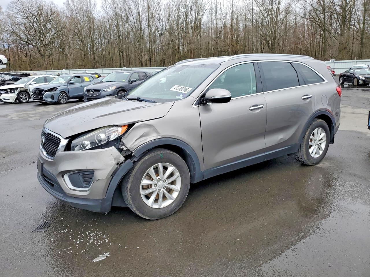 2017 Kia Sorento VIN 5XYPG4A31HG301151 photo 1