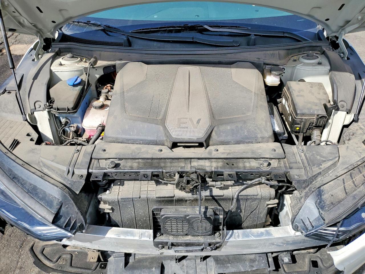 2022 Kia All other VIN KNDC3DLC8N5025580 photo 12