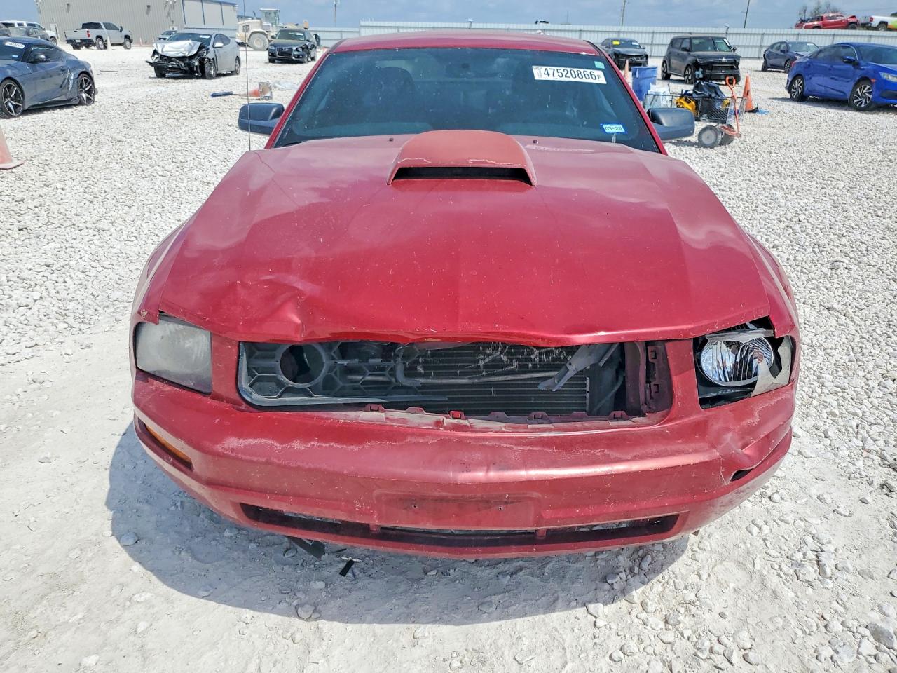 2008 Ford Mustang VIN 1ZVHT80N585131666 photo 5