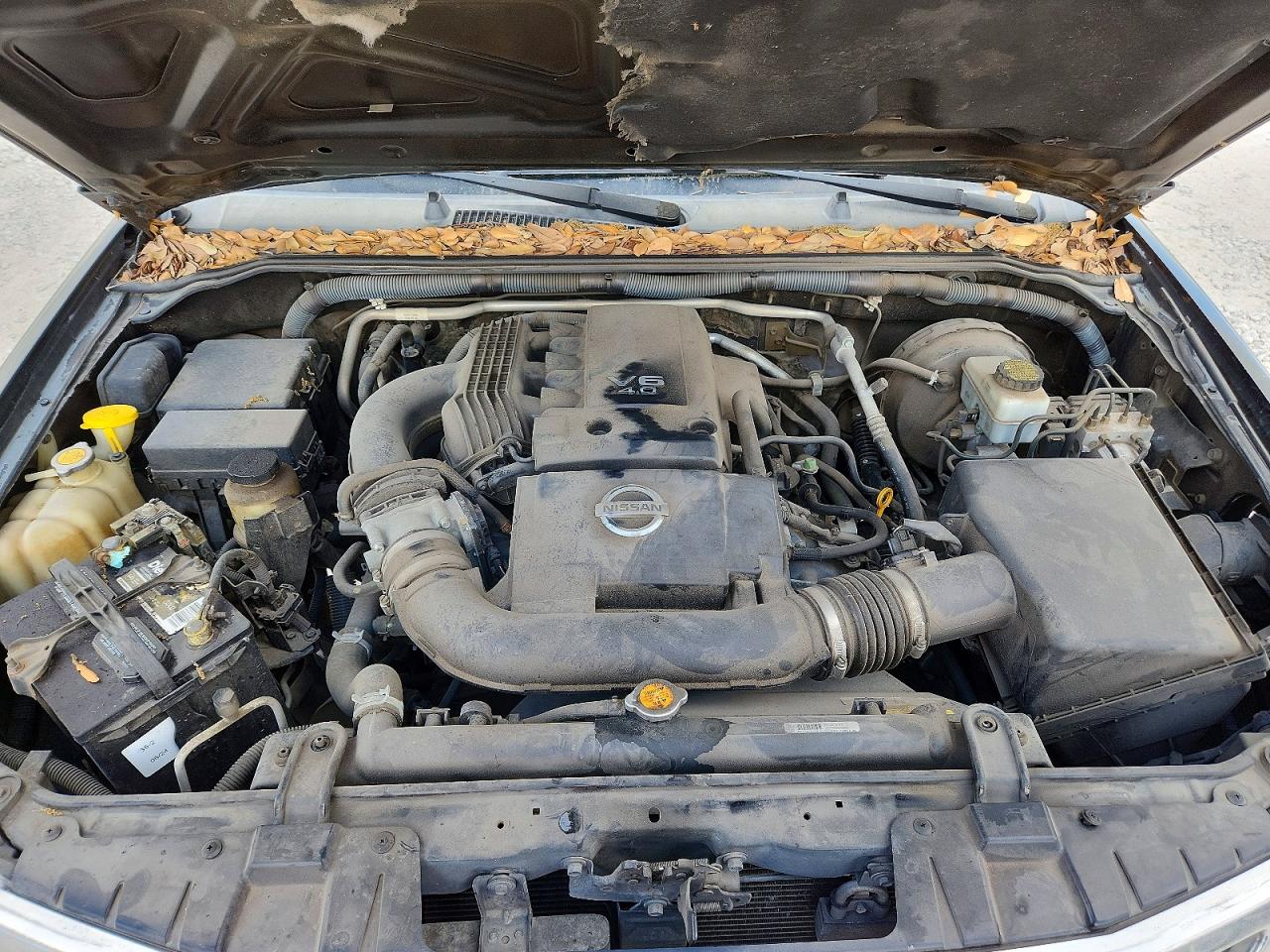 2010 Nissan Frontier VIN 1N6AD0ER4AC400852 photo 11