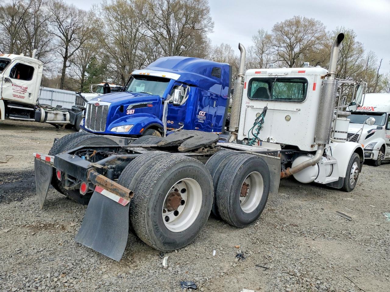 2007 PETERBILT All other VIN 1XPFDU9X07N747082 photo 4