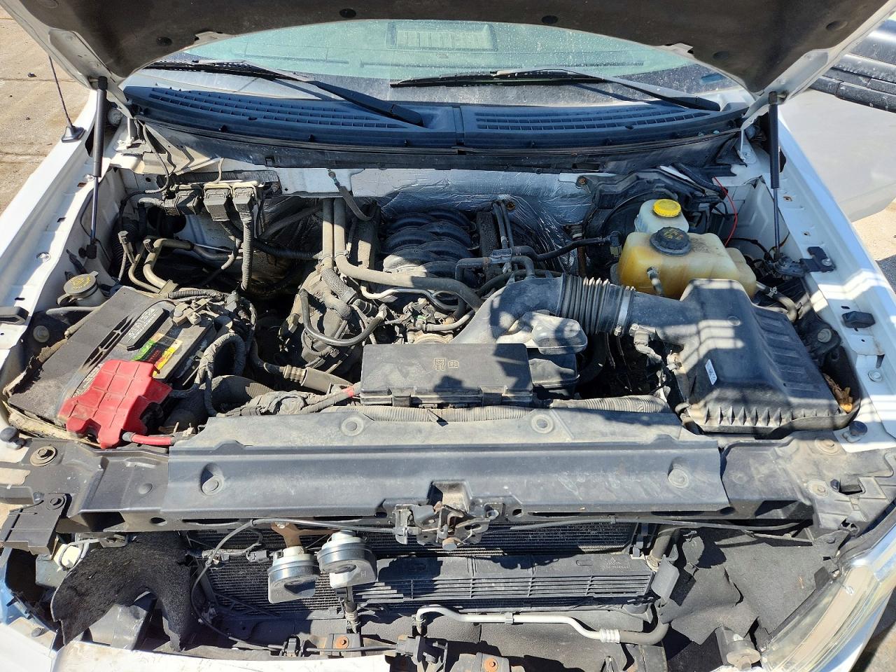 2014 FORD F150 VIN 1FTFW1EF0EFC11604 photo 11