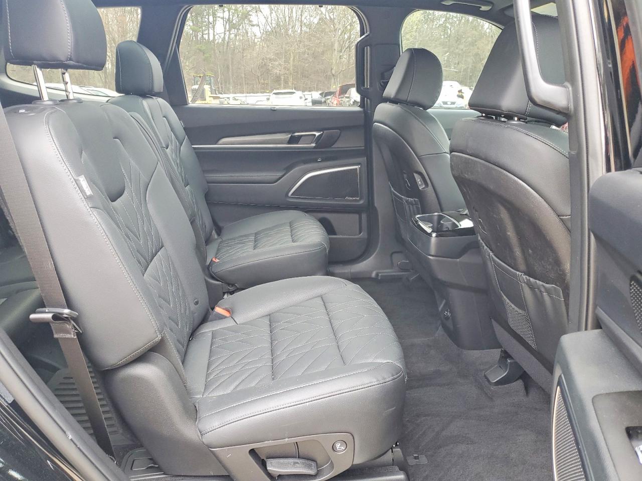 2025 Kia Telluride VIN 5XYP5DGC6SG719905 photo 11