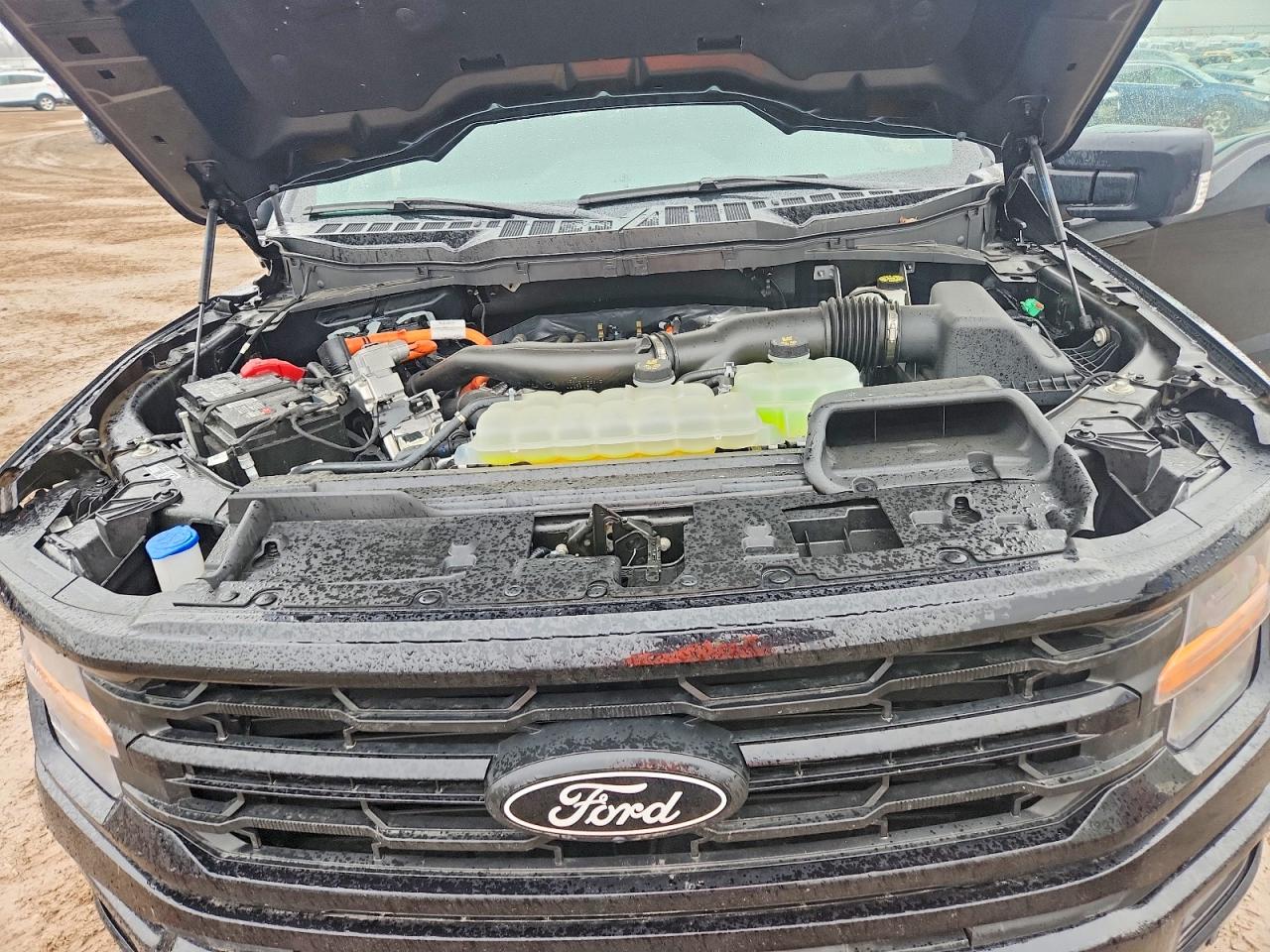 2024 F150 VIN 1FTFW3LDXRFB52693 photo 11