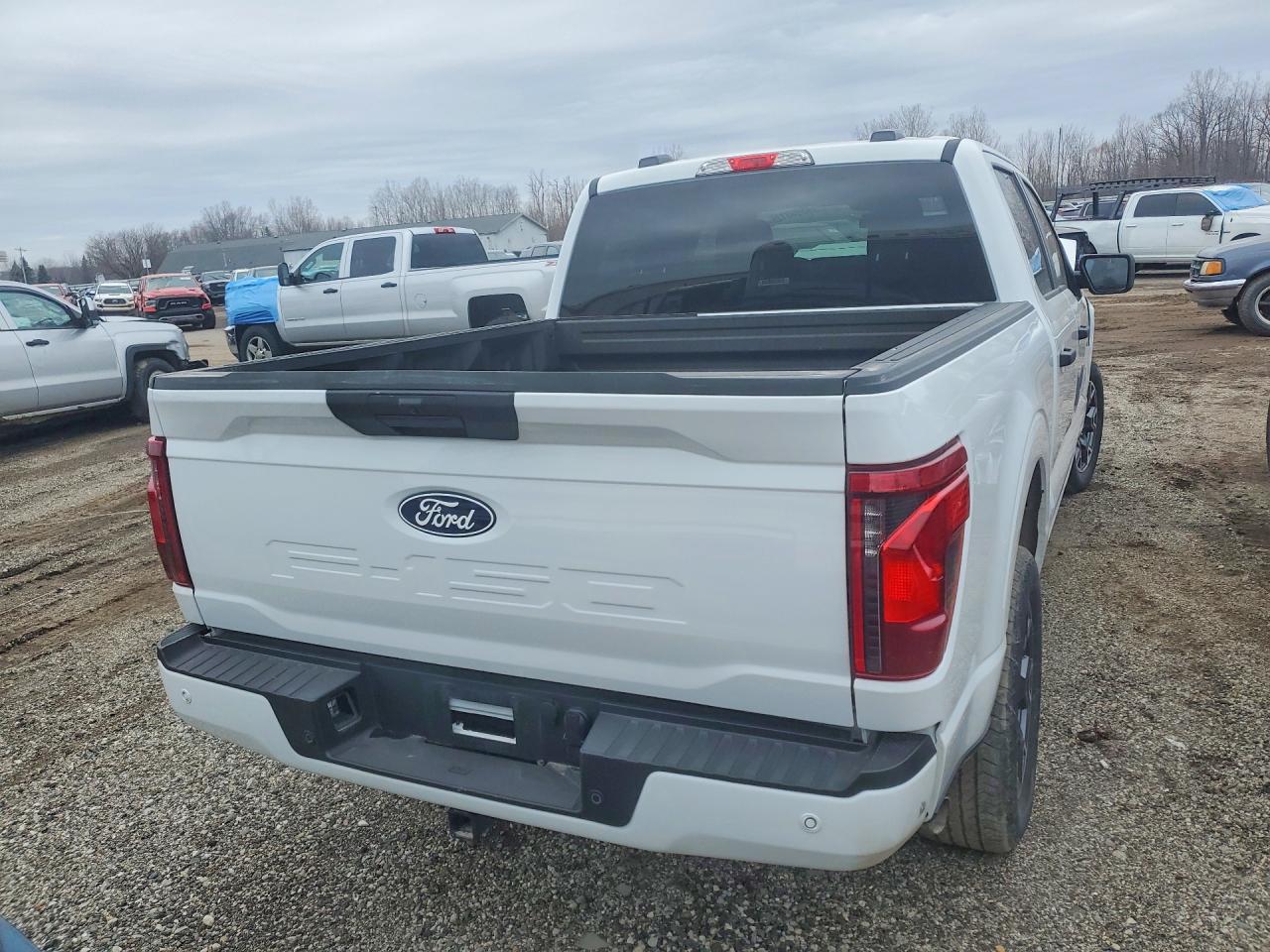 2025 Ford F150 VIN 1FTEW2LP4SKD55723 photo 6